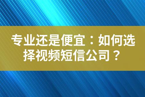 專業(yè)還是便宜：如何選擇視頻短信公司？