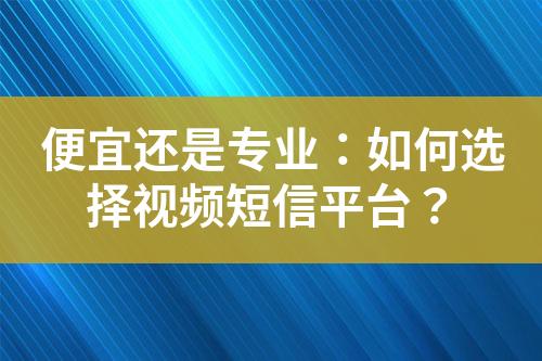 便宜還是專業：如何選擇視頻短信平臺？