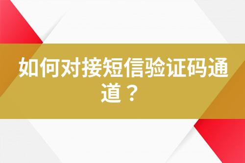 如何對接短信驗證碼通道？