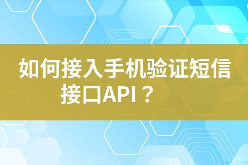 如何接入手機驗證短信接口API？