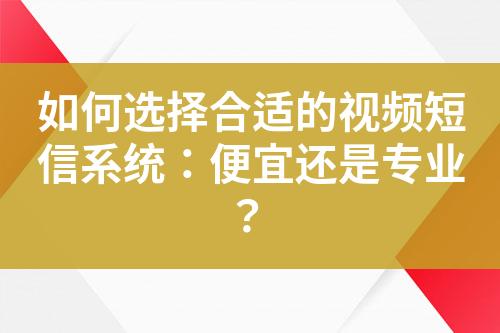 如何選擇合適的視頻短信系統：便宜還是專業？