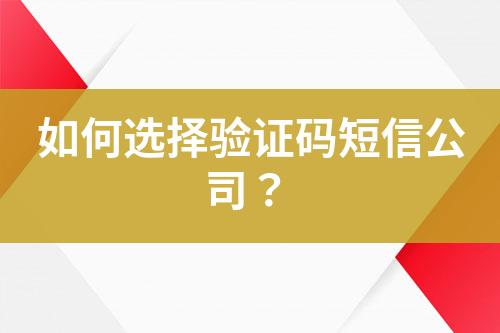 如何選擇驗(yàn)證碼短信公司？